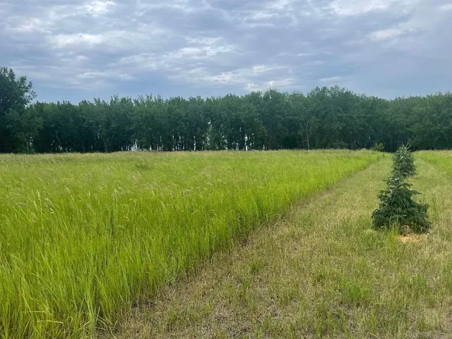 $160,000 | 10220 State Highway South, Barnesville, MN 56514