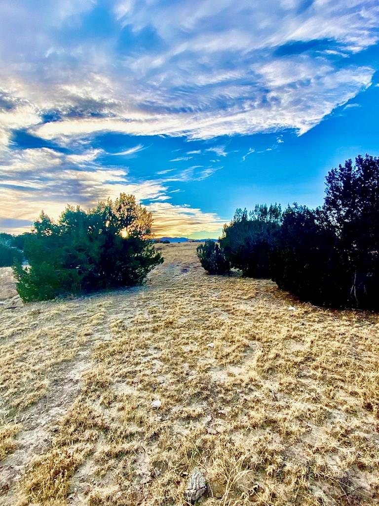 19 Salt Creek Road Pueblo, CO 81004 - Photo 25 of 25 Gallery Image 25