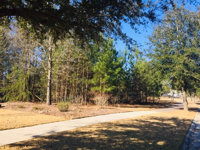 1033 Anderson Mill Road Aiken, SC 29803 - Photo 6 of 8