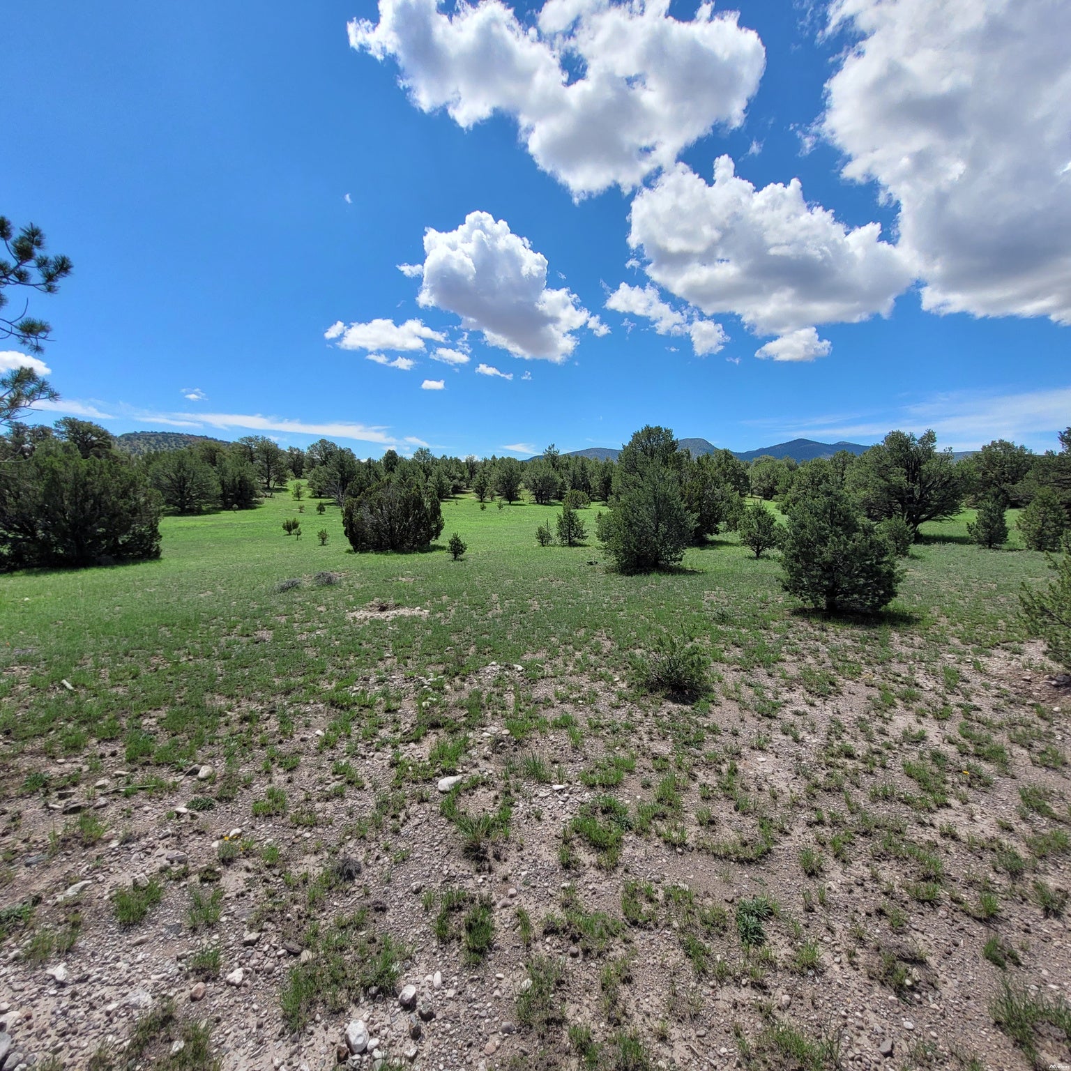 1 Frontier Trail, Unit 17 18 Datil, NM 87821 - Photo 10 of 30 Gallery Image 10