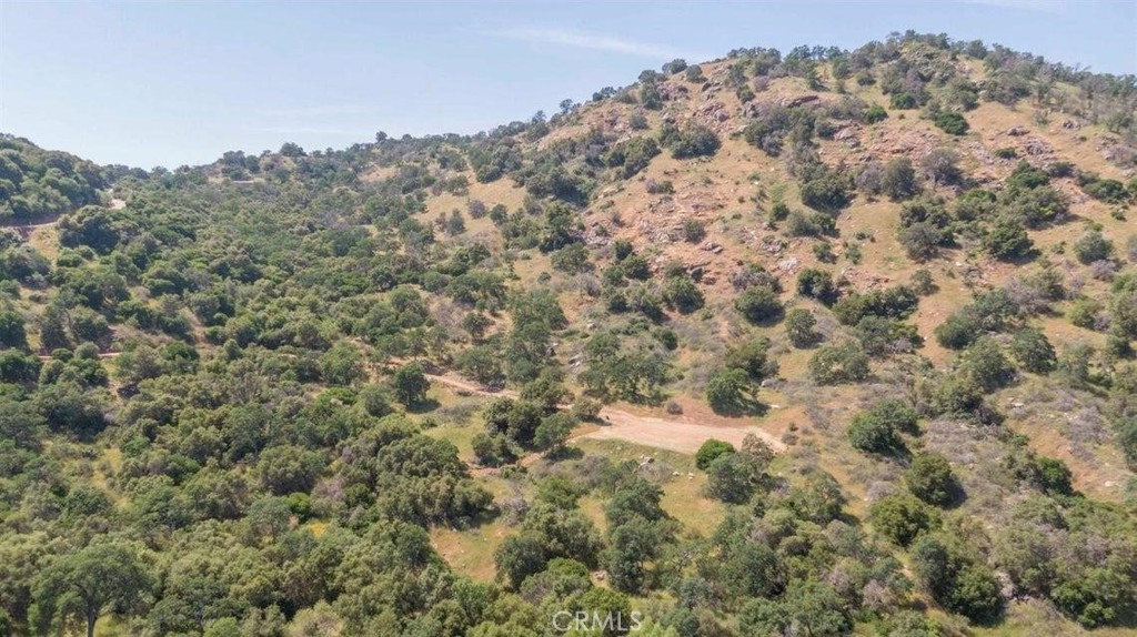 0 Ruth Hill Road Squaw Valley, CA 93675 - Photo 2 of 32