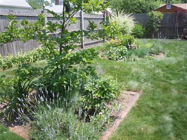 217 Prentice Street Springfield, MA 01104 - Photo 5 of 16