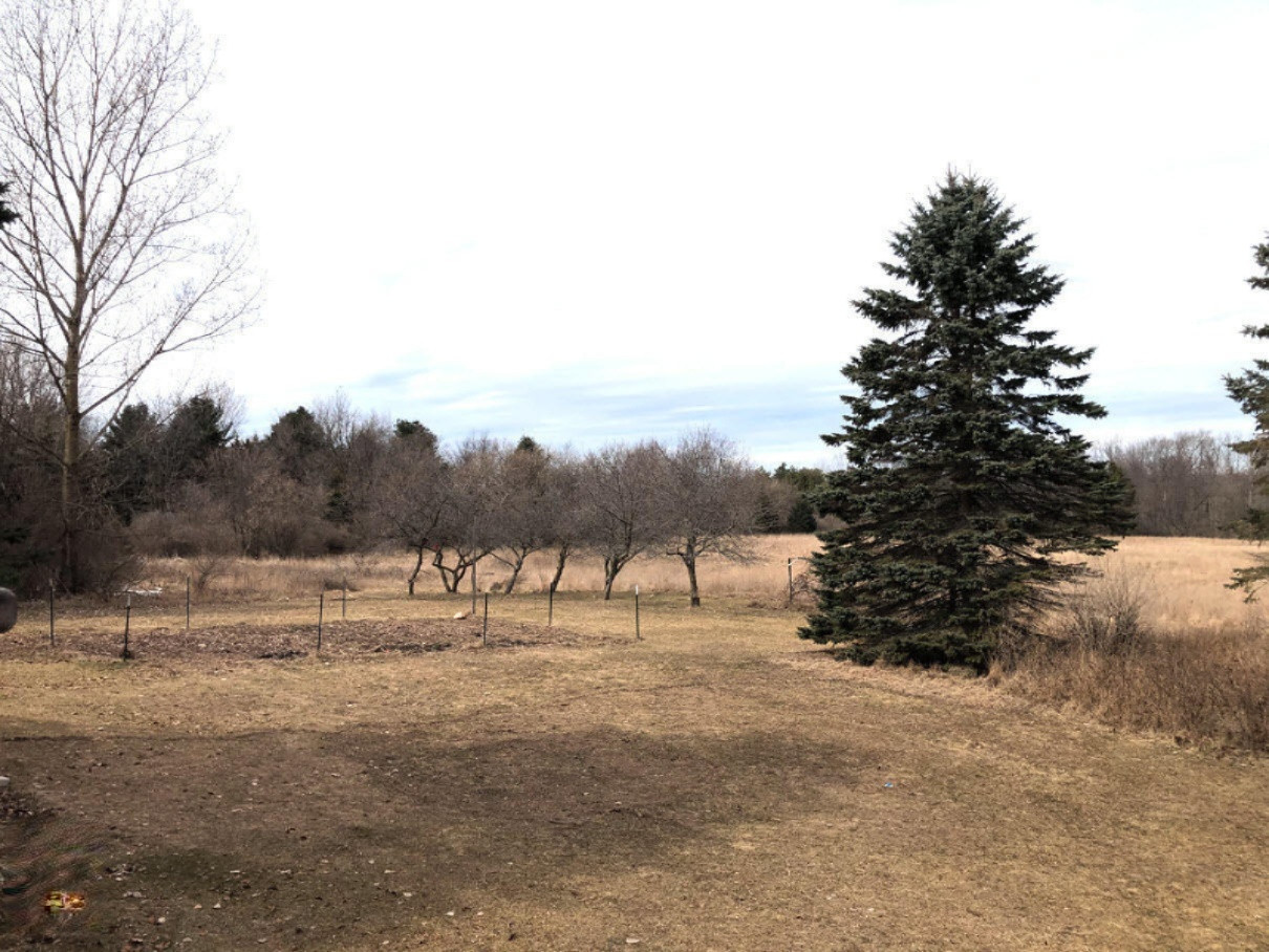 2134 Eisenhower Road Blanchard, MI 49310 - Photo 21 of 23 Fruit trees