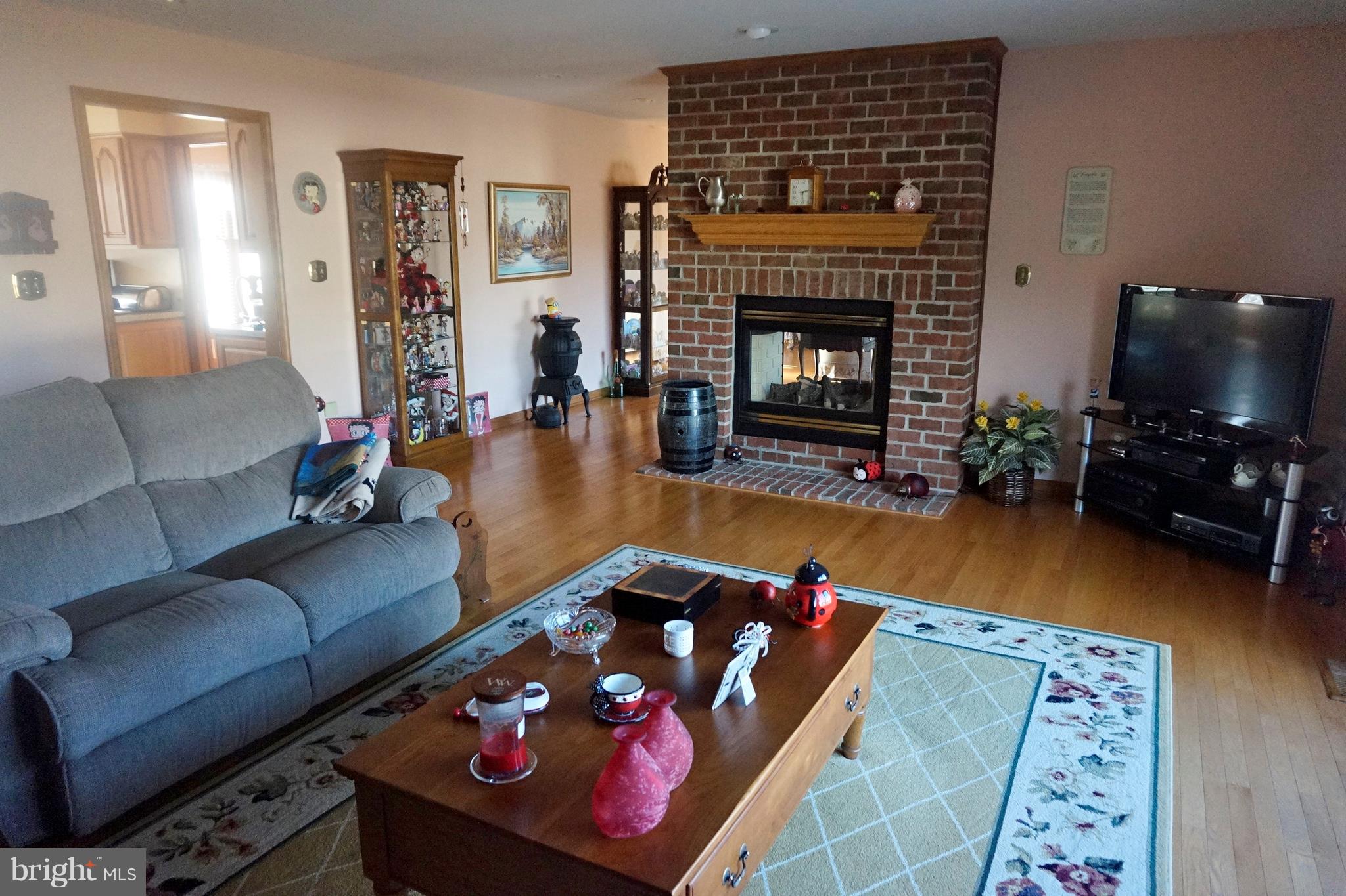 2395 McDowell Road Bridgeville, DE 19933 - Photo 17 of 76 Double-sided fireplace.