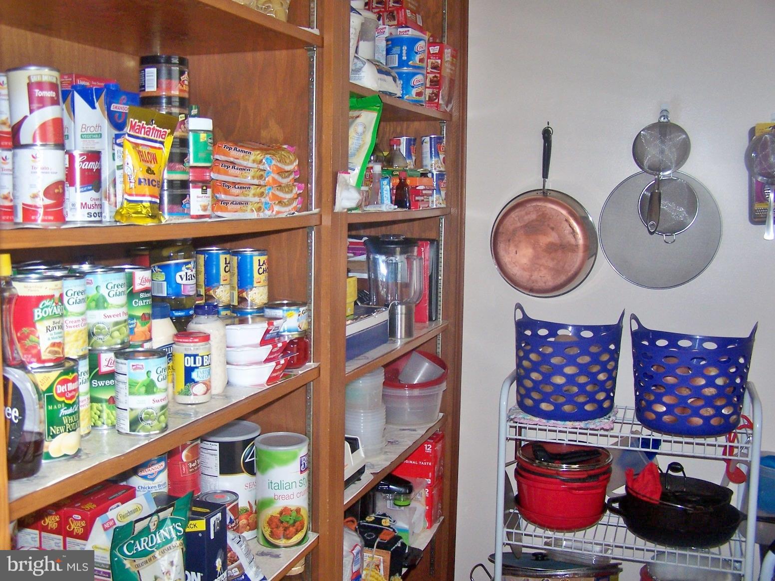 2395 McDowell Road Bridgeville, DE 19933 - Photo 25 of 76 Now, that is a pantry.
