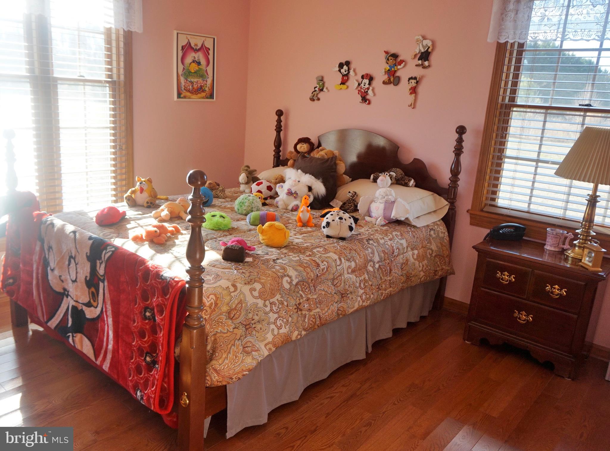2395 McDowell Road Bridgeville, DE 19933 - Photo 47 of 76 Such nicely sized bedrooms.