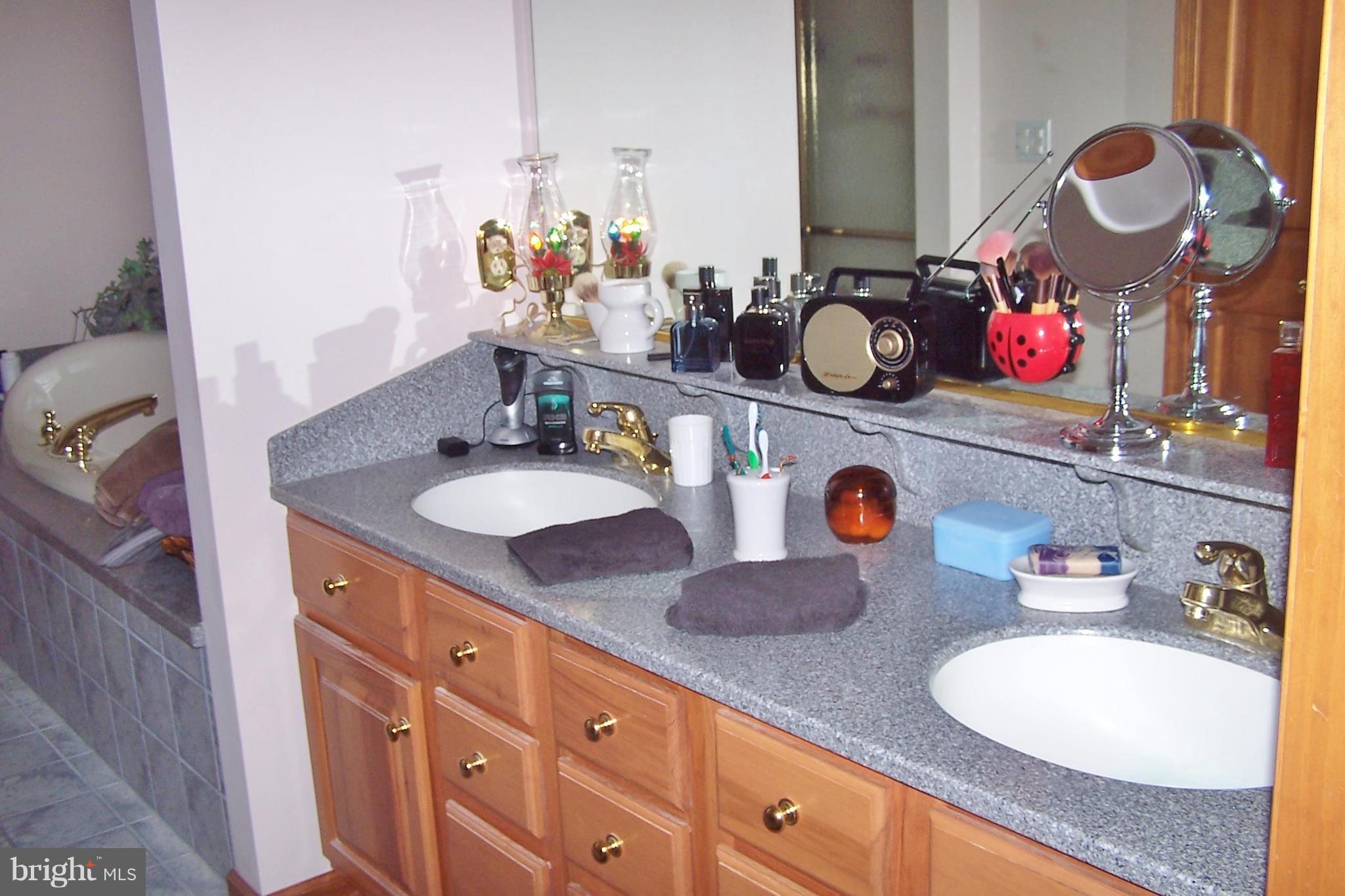 2395 McDowell Road Bridgeville, DE 19933 - Photo 54 of 76 Double sink in master bath.
