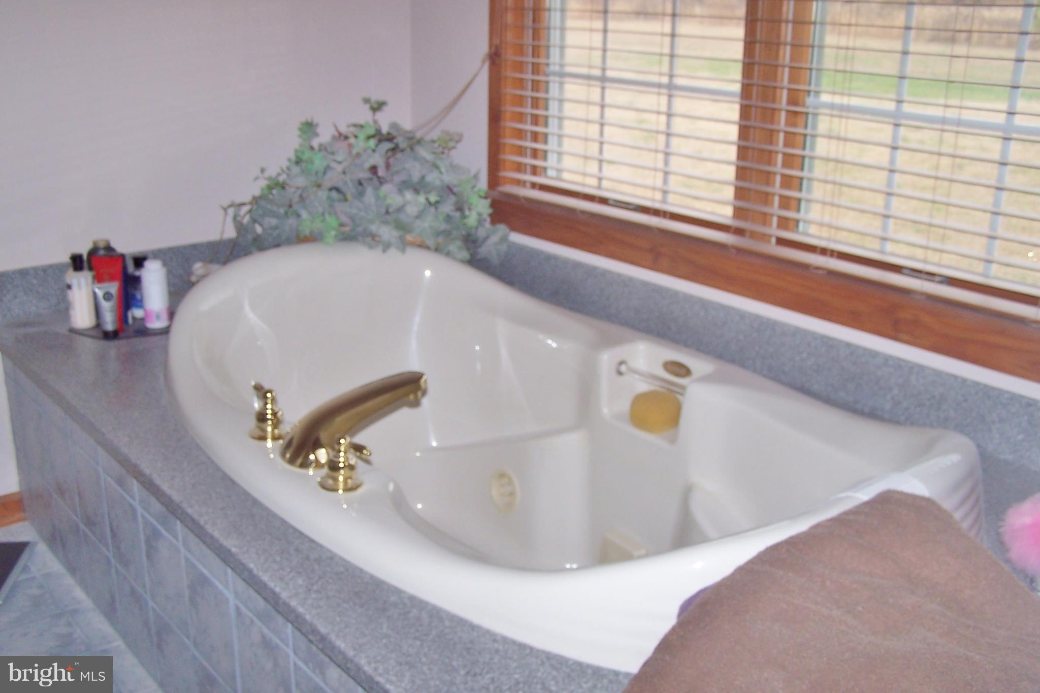 2395 McDowell Road Bridgeville, DE 19933 - Photo 57 of 76 Relaxing Jacuzzi tub.