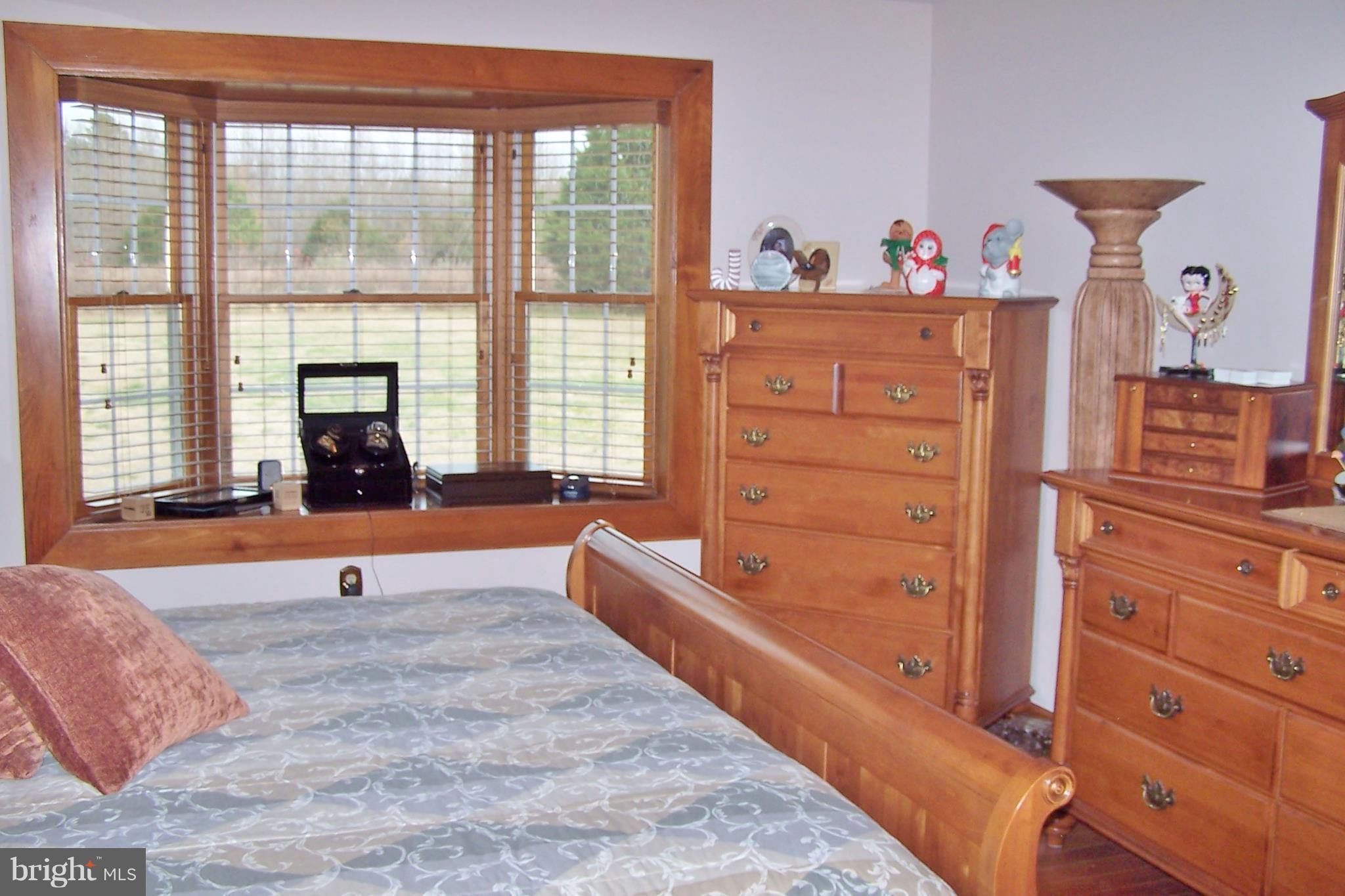 2395 McDowell Road Bridgeville, DE 19933 - Photo 59 of 76 Look at that view in the master BR.