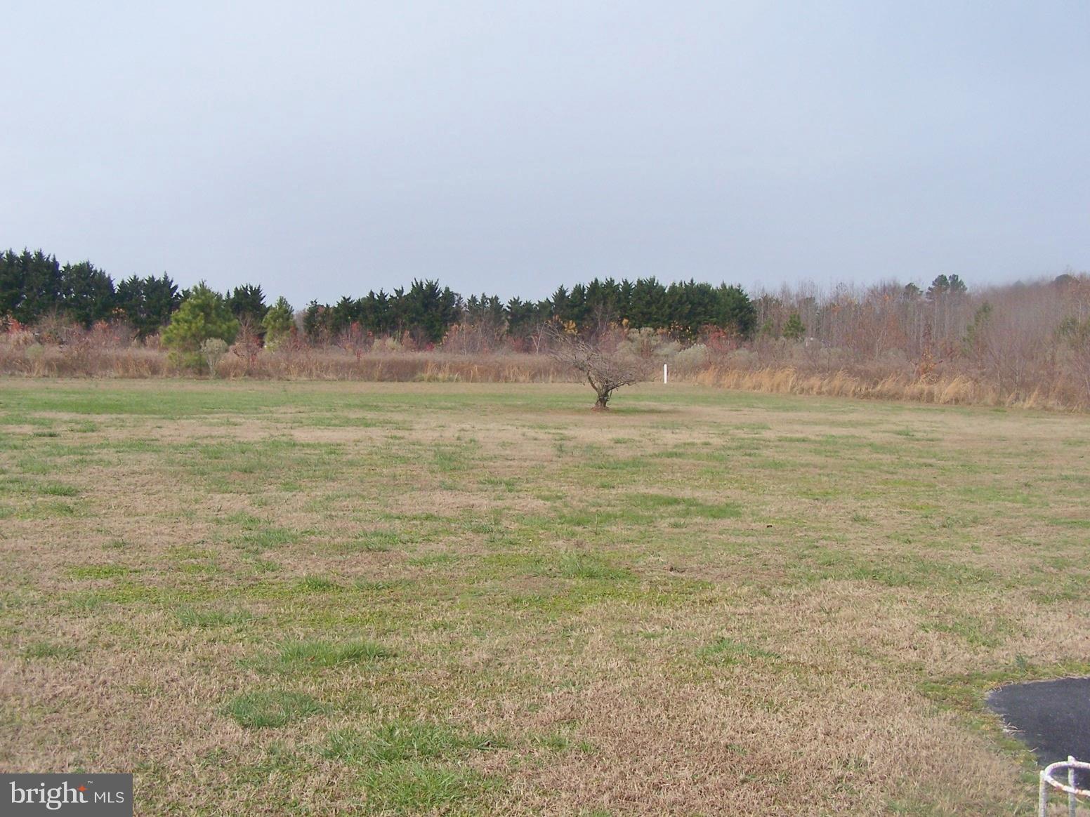 2395 McDowell Road Bridgeville, DE 19933 - Photo 66 of 76 Room for your horses.
