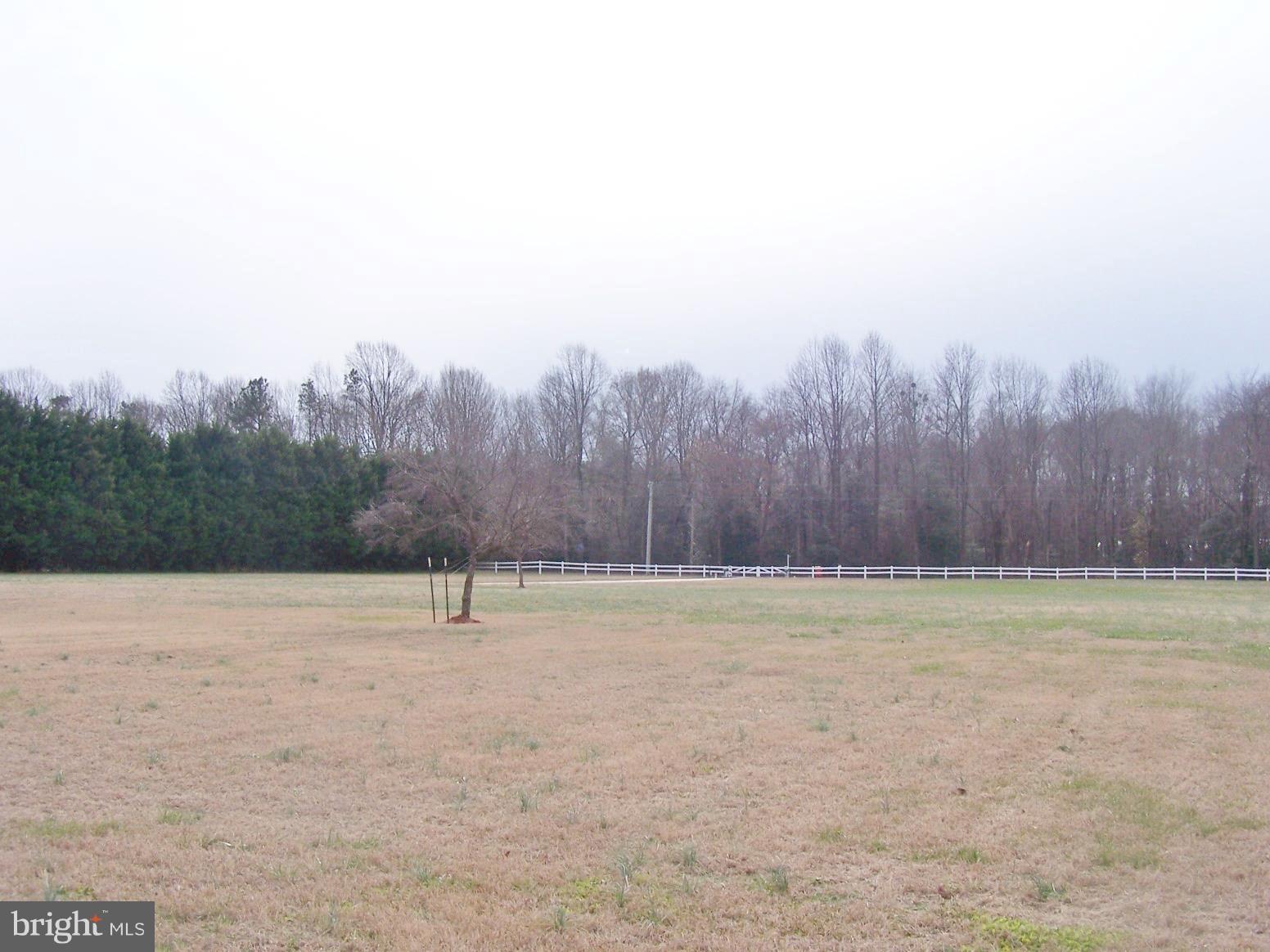 2395 McDowell Road Bridgeville, DE 19933 - Photo 70 of 76 Country acres.