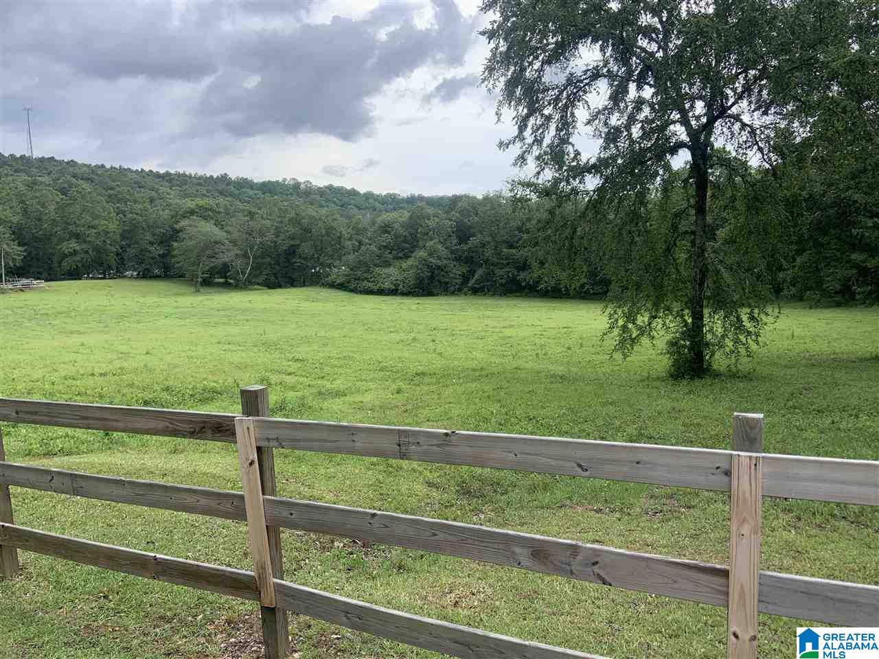 8776 Brasher Road Pinson, AL 35126 - Photo 34 of 43