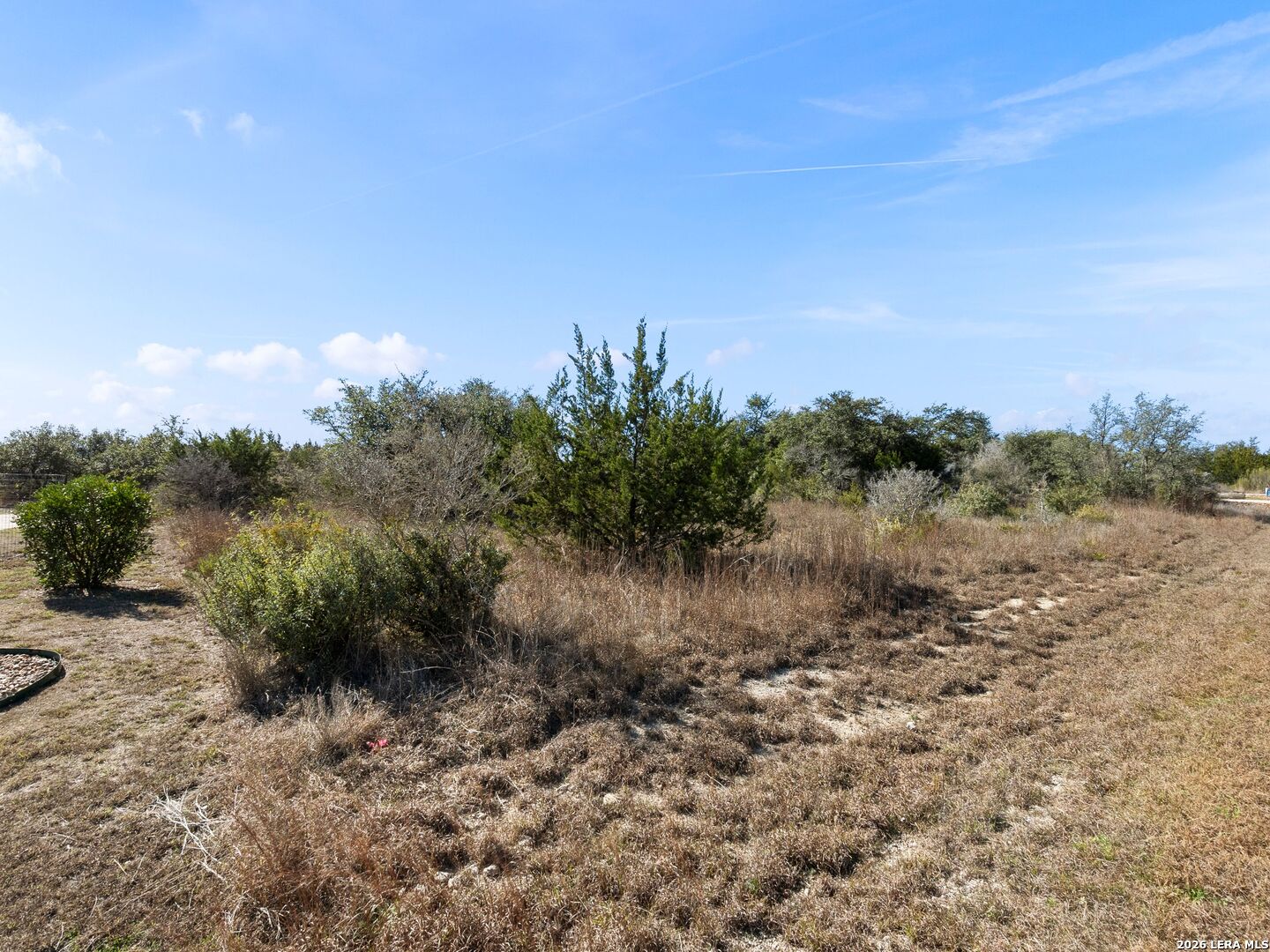 344 Quest Spring Branch, TX 78070 - Photo 2 of 16 a view of a yard with a tree