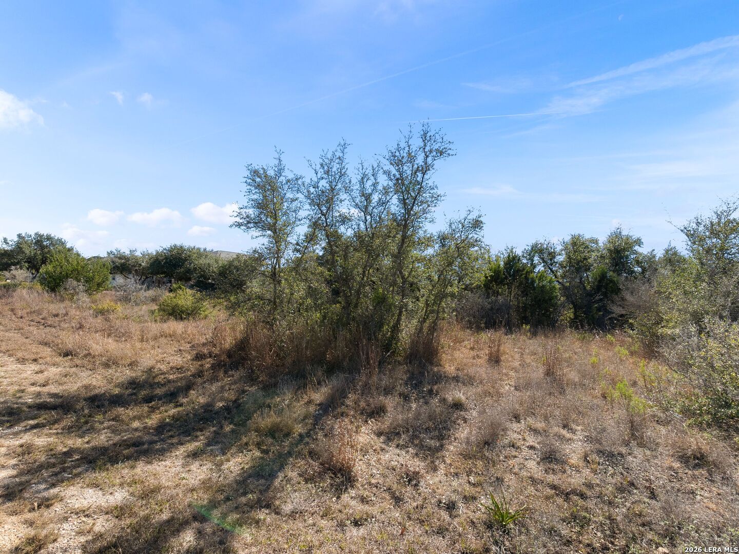 344 Quest Spring Branch, TX 78070 - Photo 5 of 16 a view of a yard with a tree