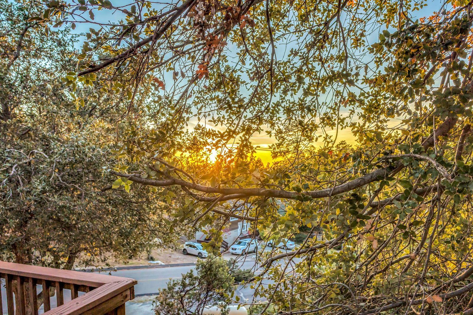 26750 Saunders Meadow Road Idyllwild, CA 92549 - Photo 49 of 56 Untitled