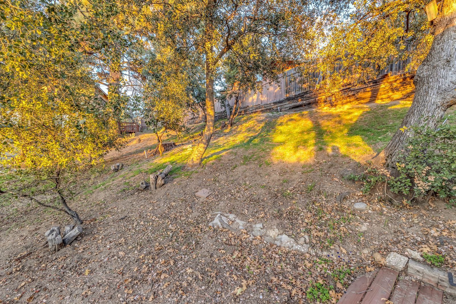 26750 Saunders Meadow Road Idyllwild, CA 92549 - Photo 54 of 56 a view of an outdoor space with a tree