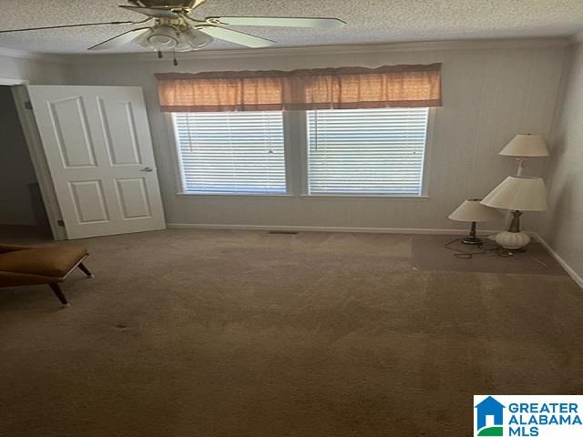 1910 Blue Ridge Road Lineville, AL 36266 - Photo 17 of 23 Gallery Image 17