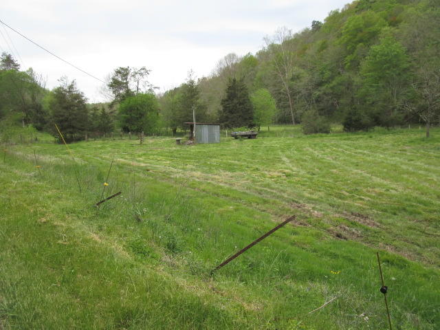 2634 Lays Gap Road Washburn, TN 37888 - Photo 14 of 21 IMG_2963