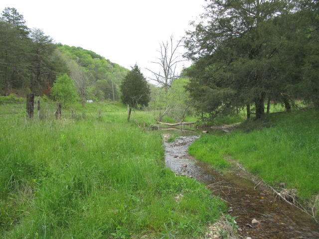 2634 Lays Gap Road Washburn, TN 37888 - Photo 3 of 21 IMG_2959