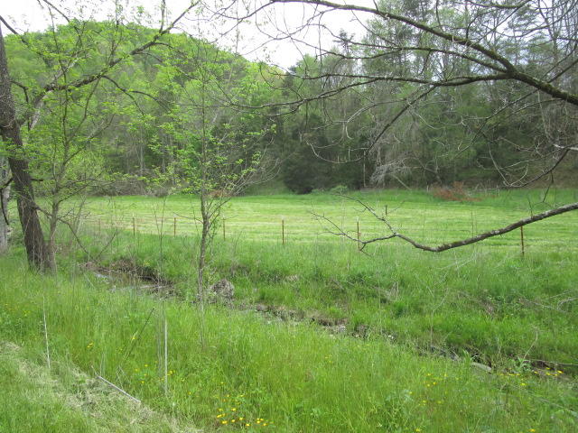 2634 Lays Gap Road Washburn, TN 37888 - Photo 4 of 21 IMG_2953