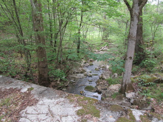 2634 Lays Gap Road Washburn, TN 37888 - Photo 5 of 21 IMG_2977