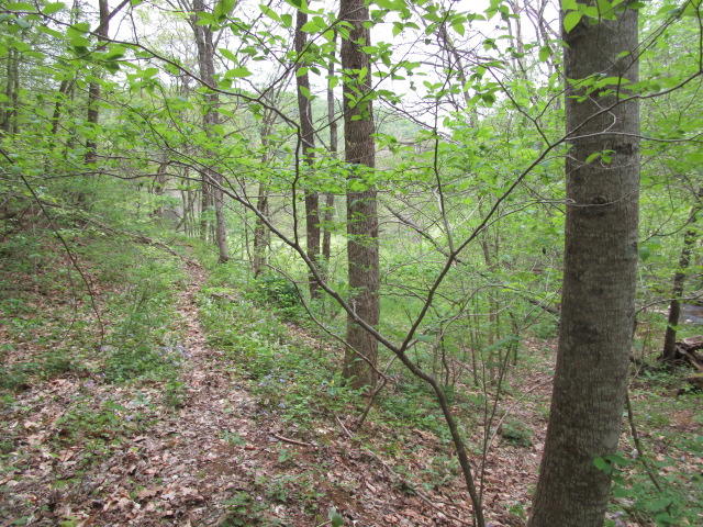 2634 Lays Gap Road Washburn, TN 37888 - Photo 6 of 21 IMG_2978
