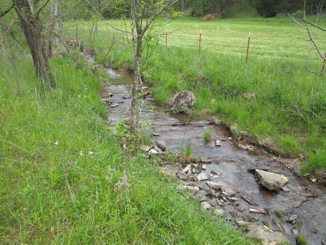 2634 Lays Gap Road Washburn, TN 37888 - Photo 7 of 21 IMG_2954