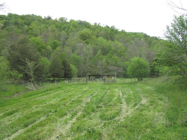 2634 Lays Gap Road Washburn, TN 37888 - Photo 8 of 21 IMG_2951