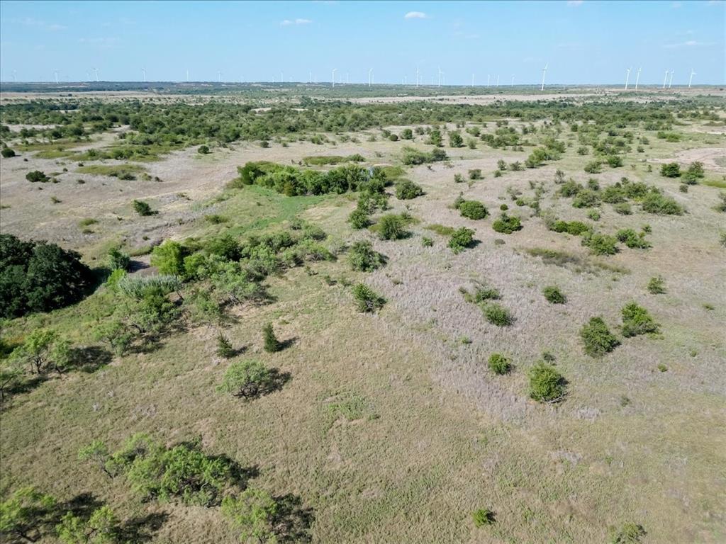 496-acres Nash Road Jacksboro, TX 76458 - Photo 15 of 28 Gallery Image 15