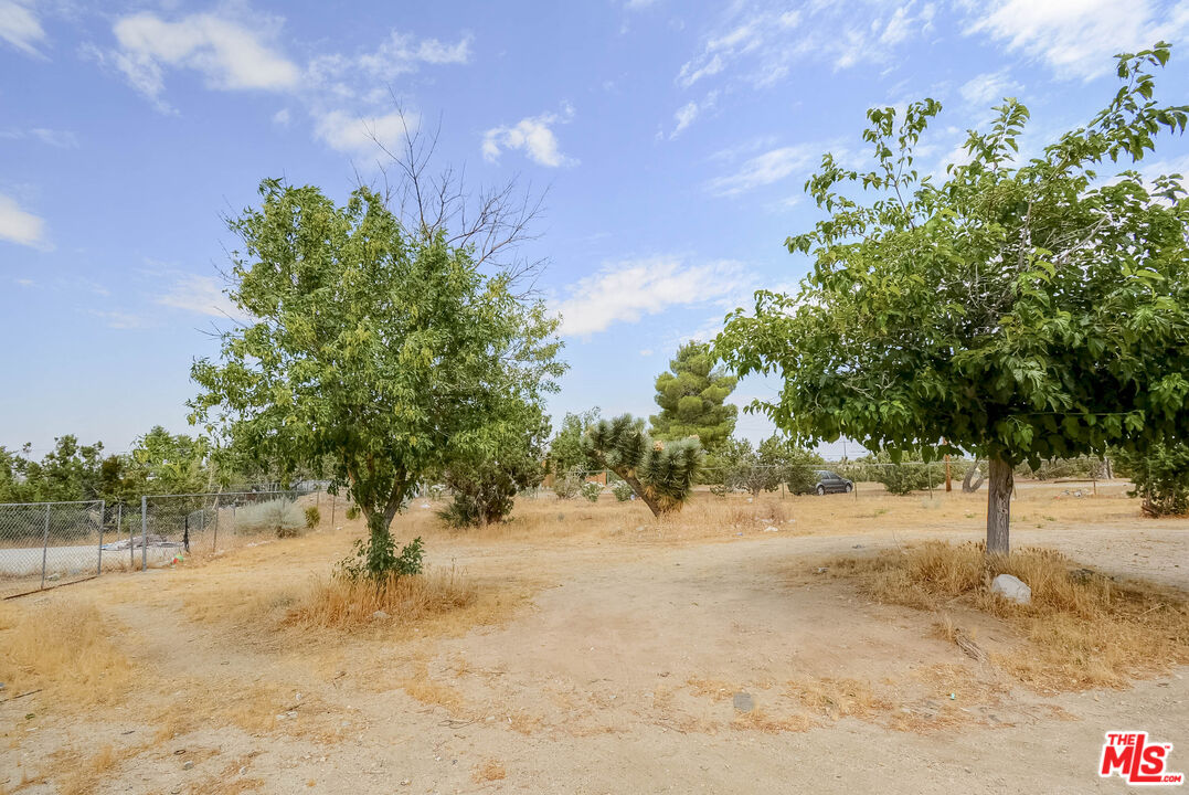 1828 Orum Road Pinon Hills, CA 92372 - Photo 32 of 38 Gallery Image 32