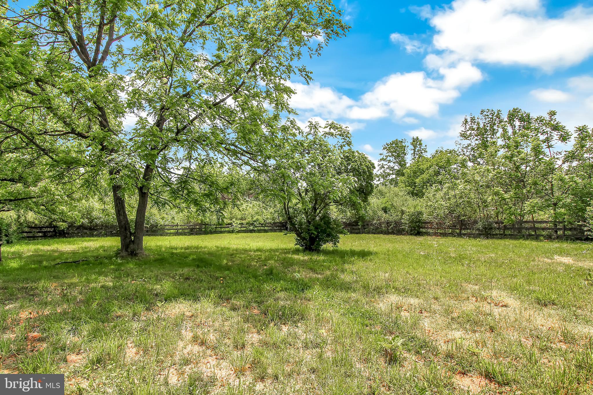 1075 Ebert Road Coopersburg, PA 18036 - Photo 23 of 36 Front pasture