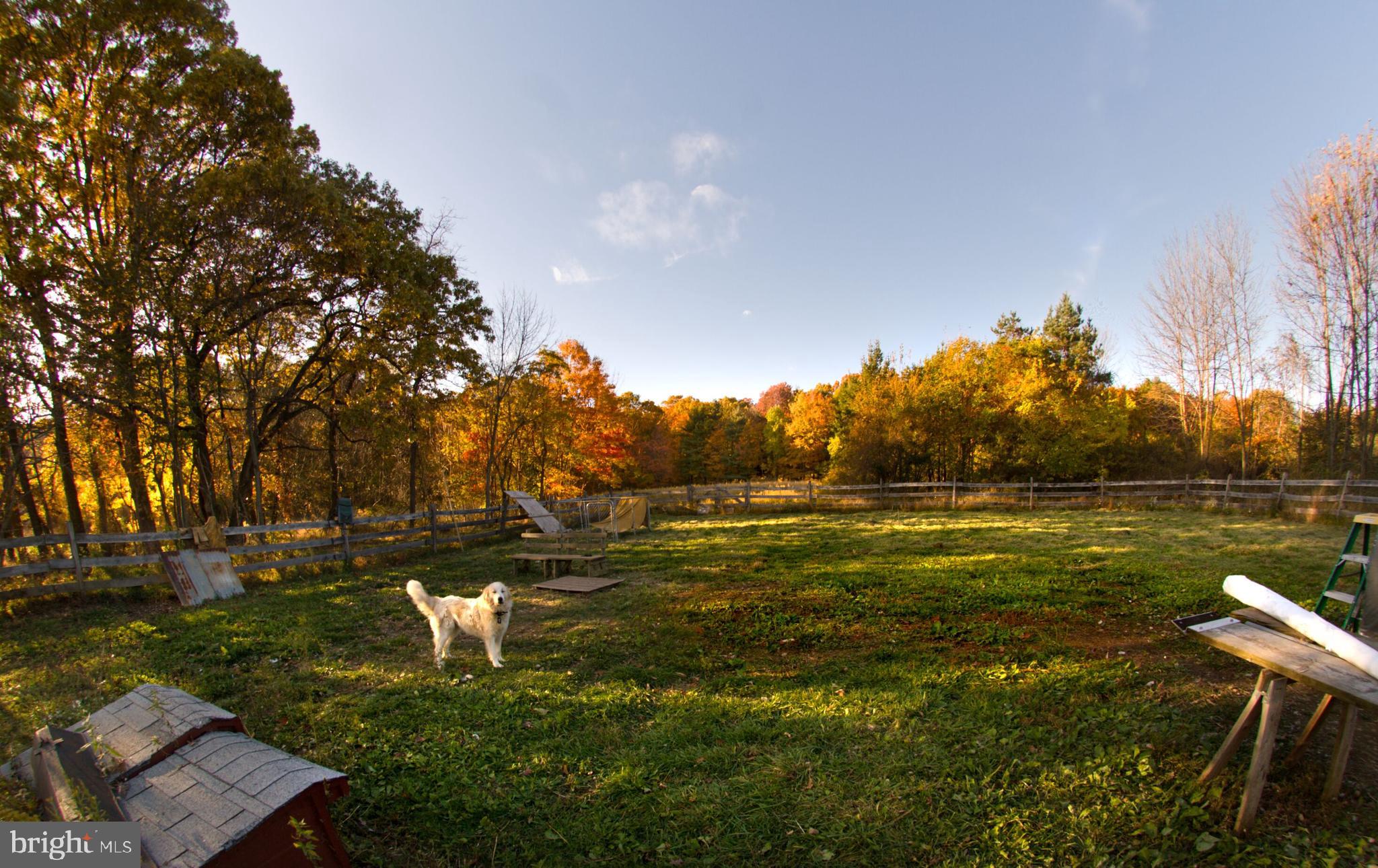 1075 Ebert Road Coopersburg, PA 18036 - Photo 32 of 36 Chicken pasture