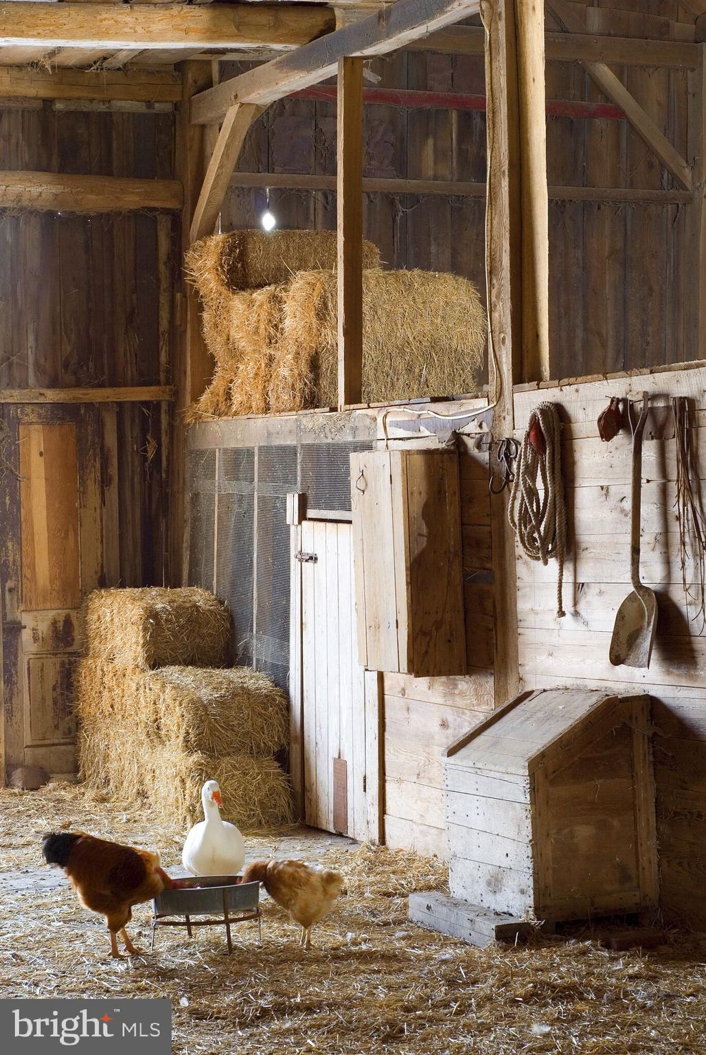 1075 Ebert Road Coopersburg, PA 18036 - Photo 36 of 36 Barn interior