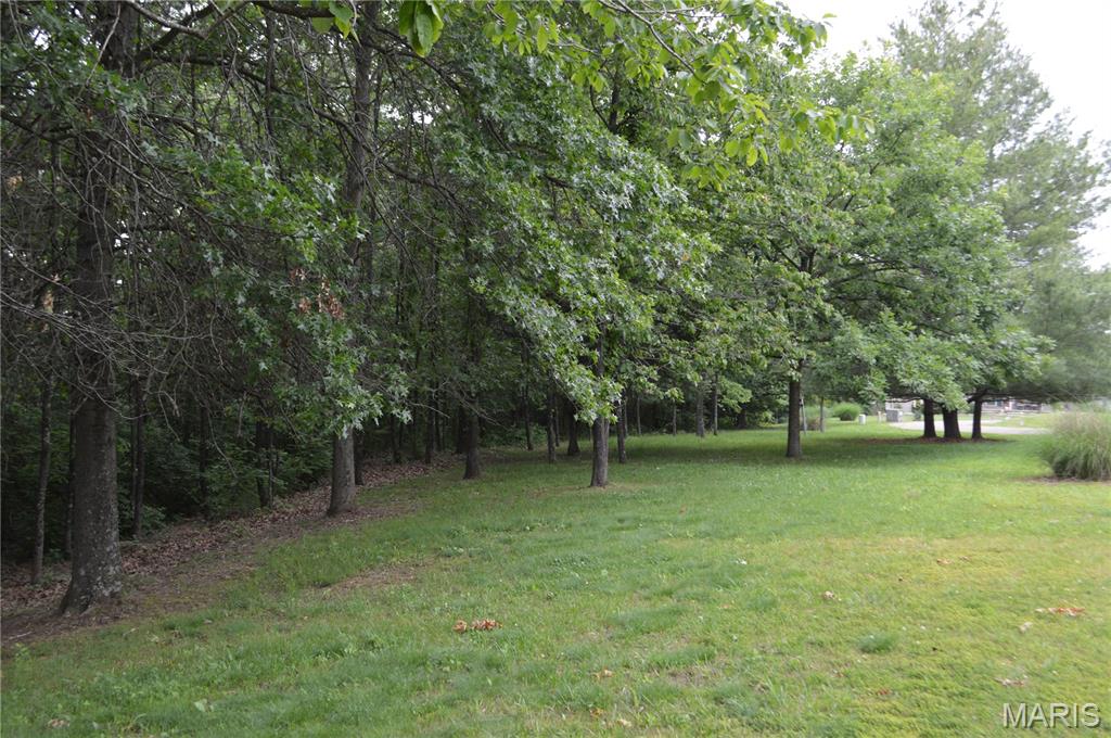 772 Mound Road Festus, MO 63028 - Photo 5 of 5