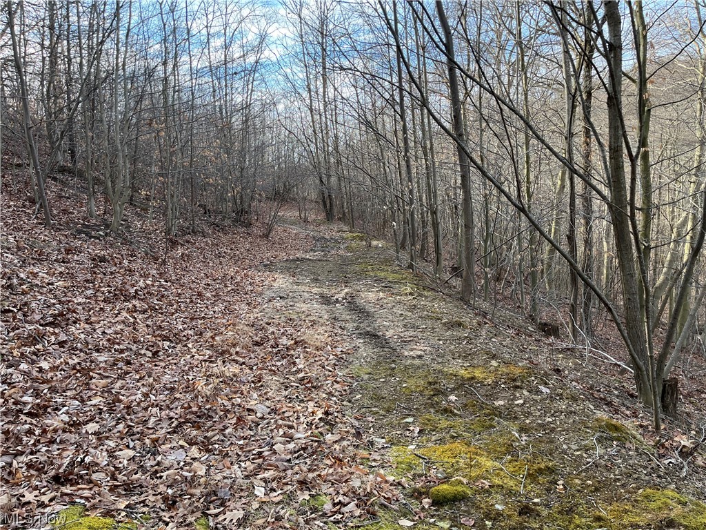 5868 Green Ridge Road Southeast Dennison, OH 44621 - Photo 28 of 33