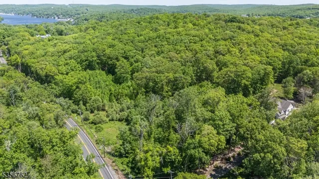 an aerial view of residential houses with outdoor space and trees