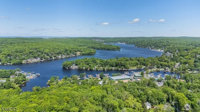 a view of a garden with lawn chairs and large trees
