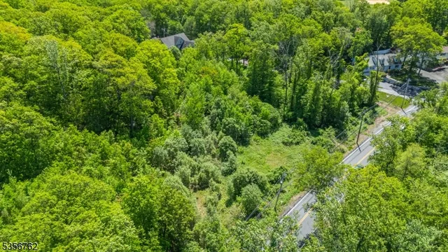 a view of a lush green forest
