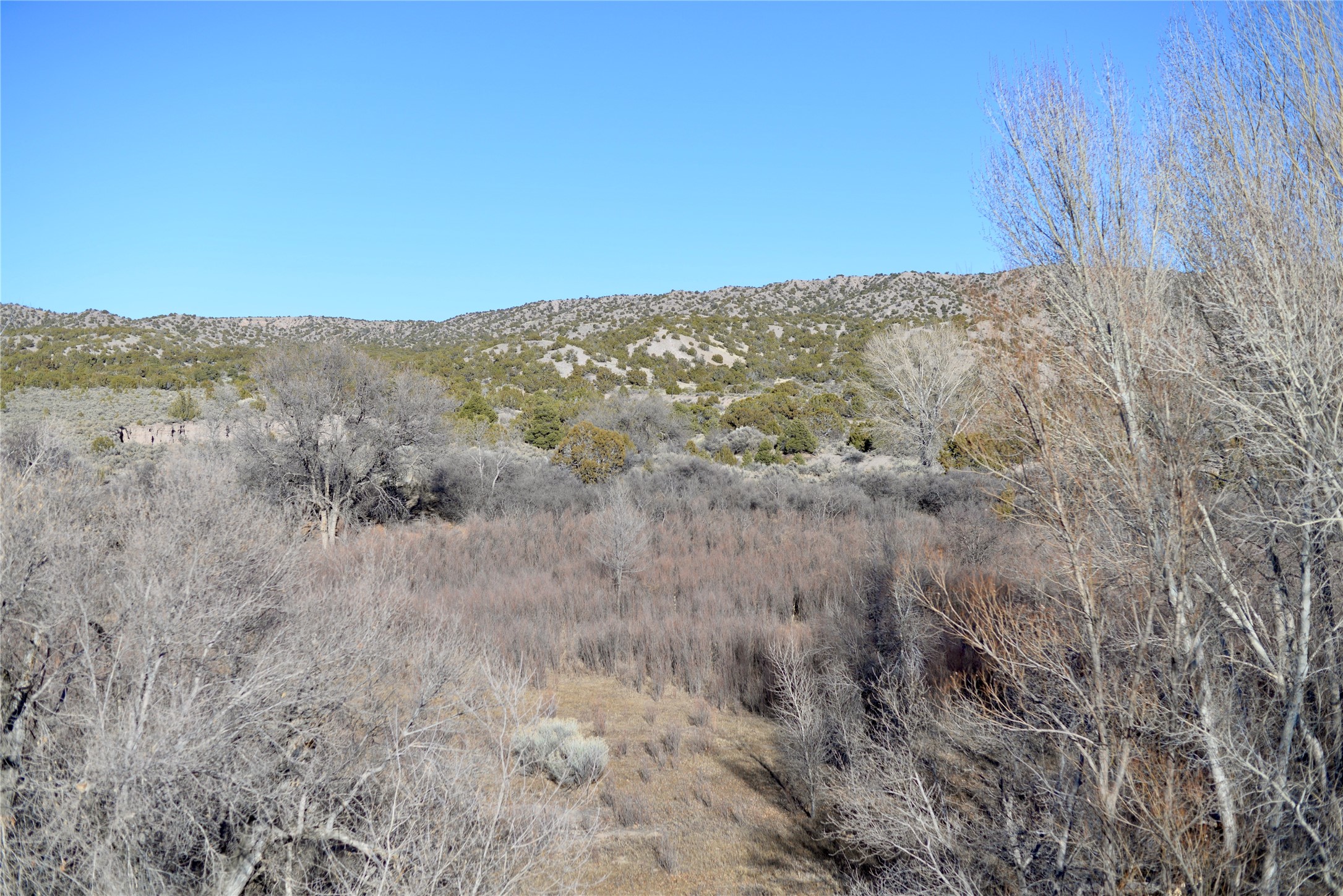 0 Nm-215 El Rito, NM 87530 - Photo 7 of 12 View to the East, from the Eastern side of the property.