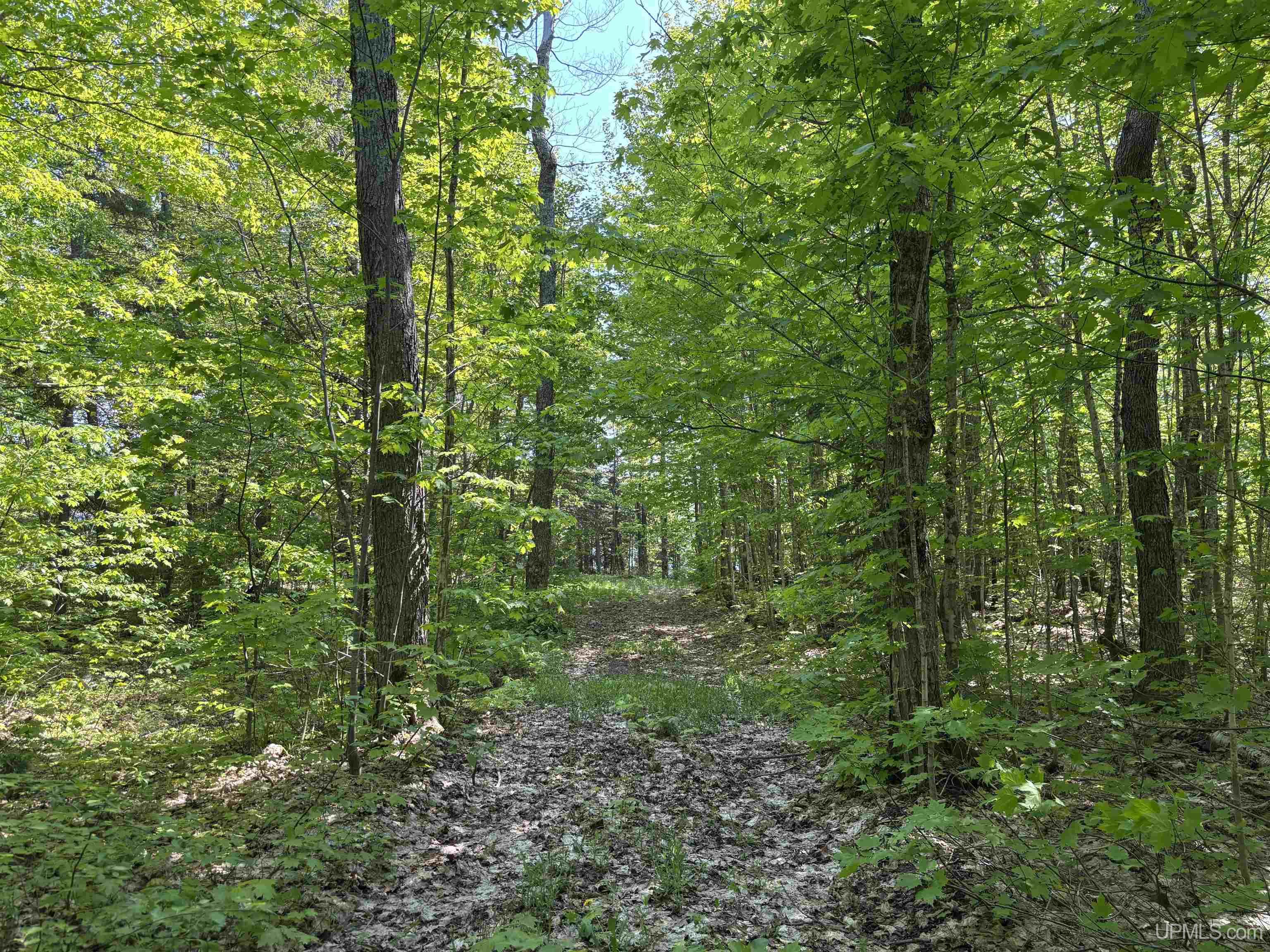 4-a And 4b Frimodig Road Mohawk, MI 49950 - Photo 27 of 38
