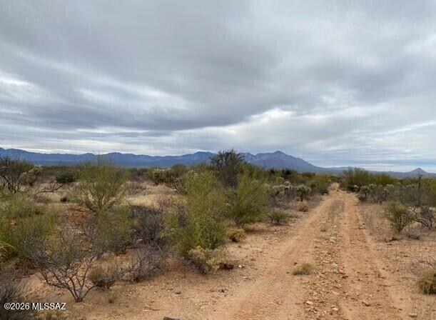 14921 West Pyle Road, Unit 498 Tucson, AZ 85736 - Photo 1 of 8