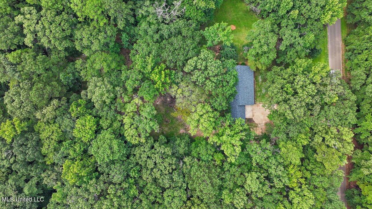 102 Hickory Street Brandon, MS 39042 - Photo 26 of 30 36-102 Hickory St