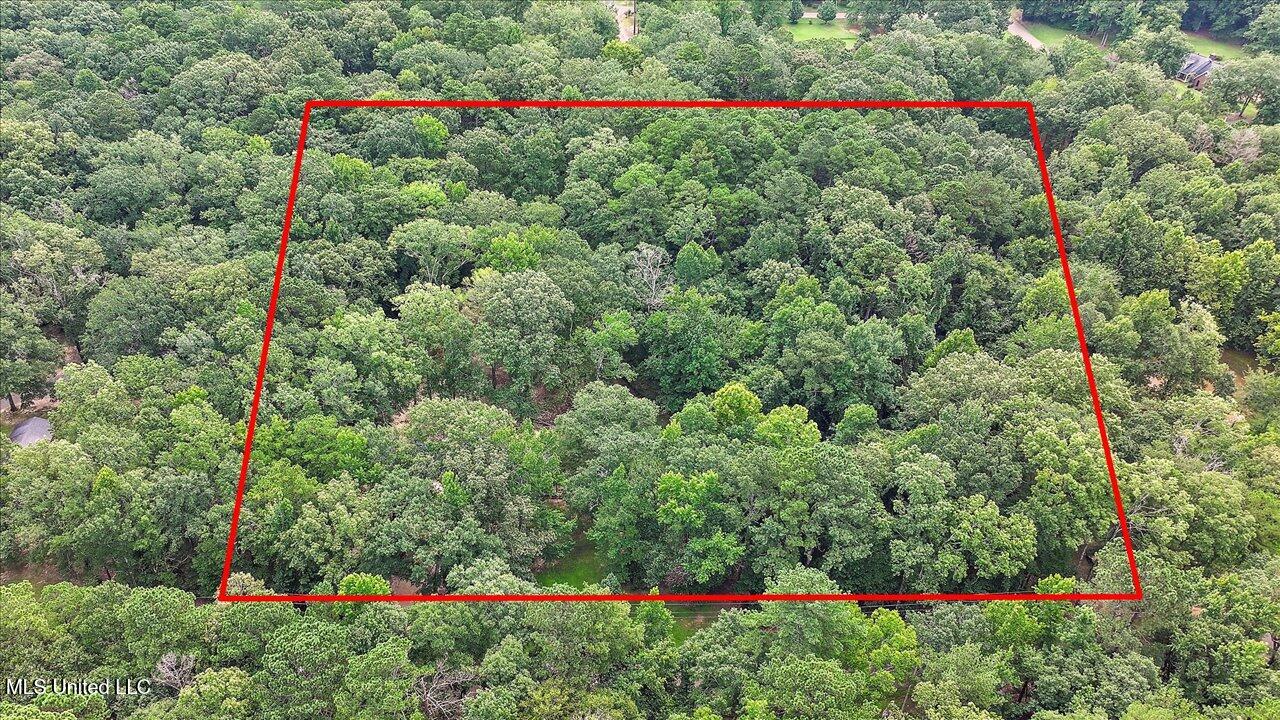 102 Hickory Street Brandon, MS 39042 - Photo 30 of 30 66-102 Hickory St - Property Outline