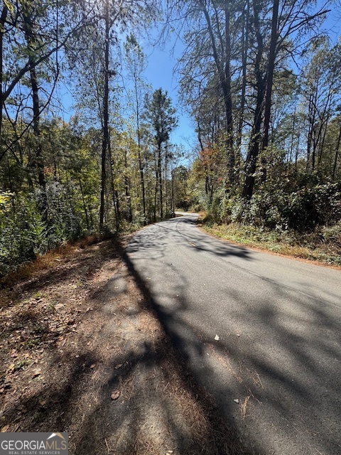 902 Pinyan Road Southeast Ranger, GA 30734 - Photo 28 of 60 a view of a yard with trees on both side of it