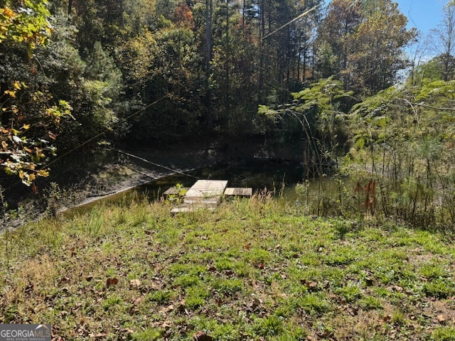 902 Pinyan Road Southeast Ranger, GA 30734 - Photo 30 of 60 a view of swimming pool from a lake view