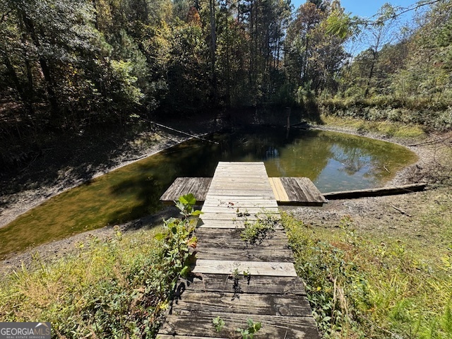 902 Pinyan Road Southeast Ranger, GA 30734 - Photo 31 of 60