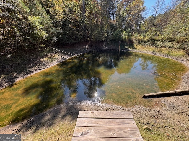 902 Pinyan Road Southeast Ranger, GA 30734 - Photo 32 of 60 a view of a lake with a yard