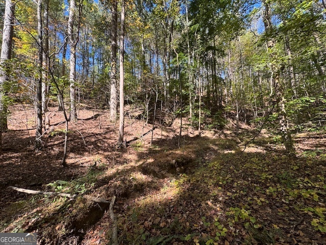 902 Pinyan Road Southeast Ranger, GA 30734 - Photo 33 of 60 a view of a forest with trees