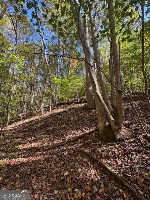 902 Pinyan Road Southeast Ranger, GA 30734 - Photo 34 of 60 a backyard of a house with lots of green space