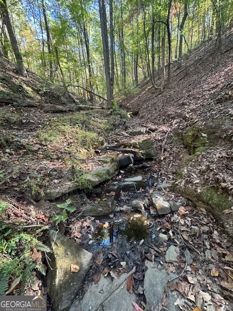 902 Pinyan Road Southeast Ranger, GA 30734 - Photo 38 of 60 a view of a yard with plants and large trees